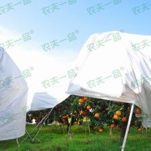 河北綠化防寒布制品廠 守護園林綠化的溫暖屏障
