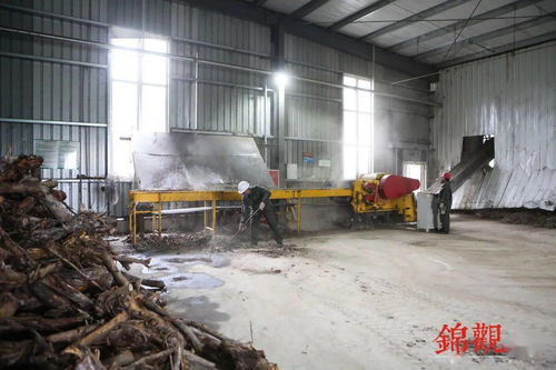 興辦“落葉工廠” 公園城市的秘密武器，了解一下園林綠化的新玩法！